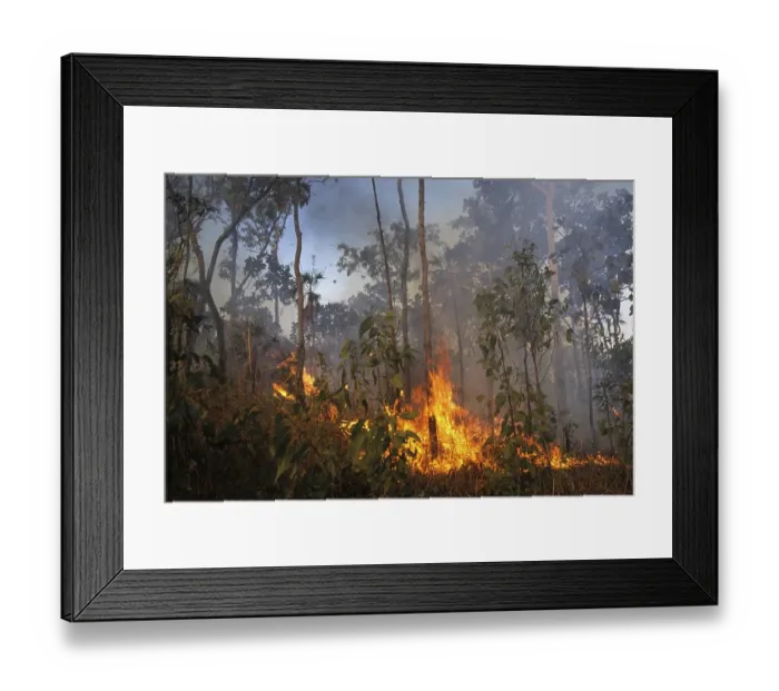 Framed Print : Fire in Kakadu National Park, Northern Territory, Australien