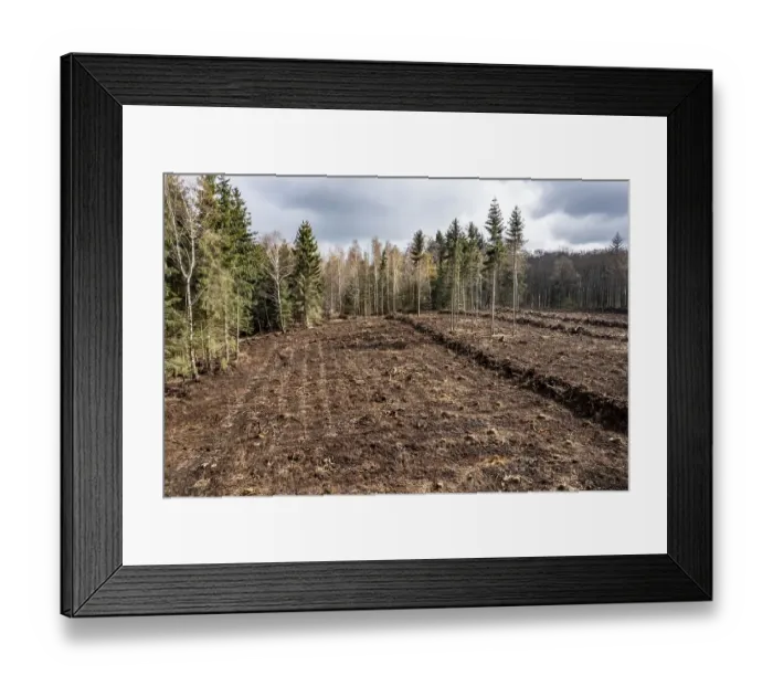 Framed Print : Area in the Arnsberg Forest near Ruethen-Nettelstaedt