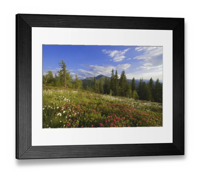 Framed Print : Naunz in spring, Naunz, Kellerjoch