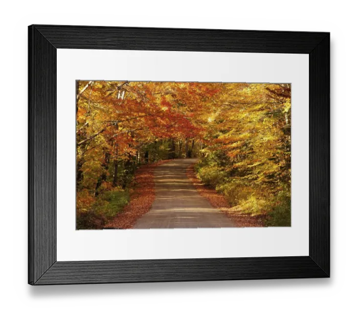 Framed Print : Road through the autumn forest Framed Print : Road through the autumn forest