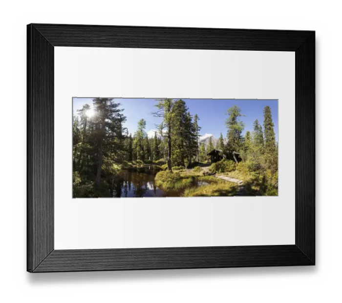 Framed Print : Moor pond on the nature adventure trail through the Rauris primeval forest Framed Print : Moor pond on the nature adventure trail through the Rauris primeval forest