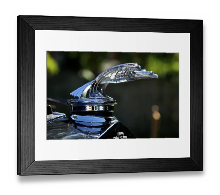 Framed Print : Hood ornament on a Chevrolet at a Classic Car Show in Belvidere