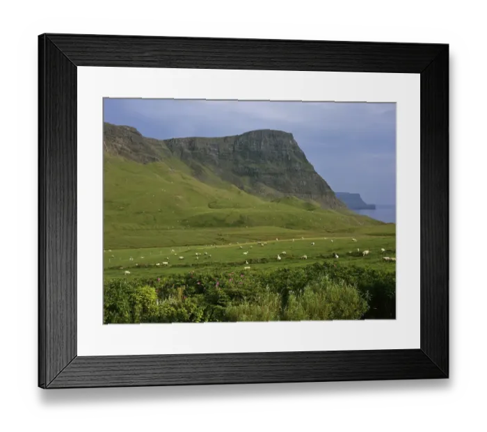 Framed Print : Waterstein Head, Neist Point, Isle of Skye Framed Print : Waterstein Head, Neist Point, Isle of Skye