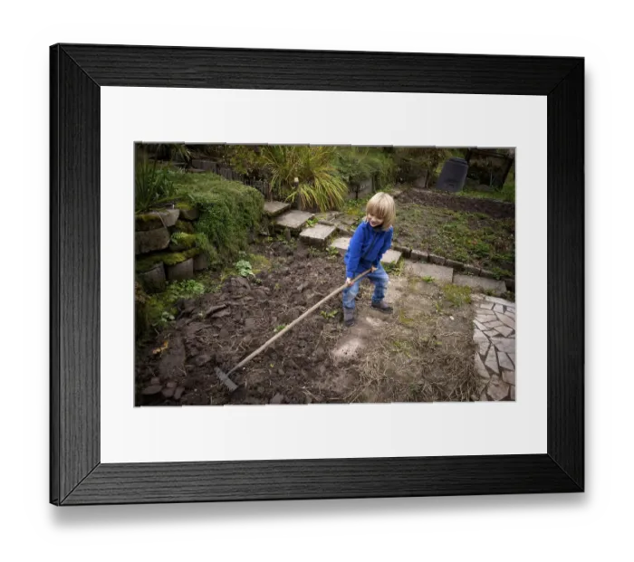 Framed Print : Little boy, 6 years, blonde, gardening