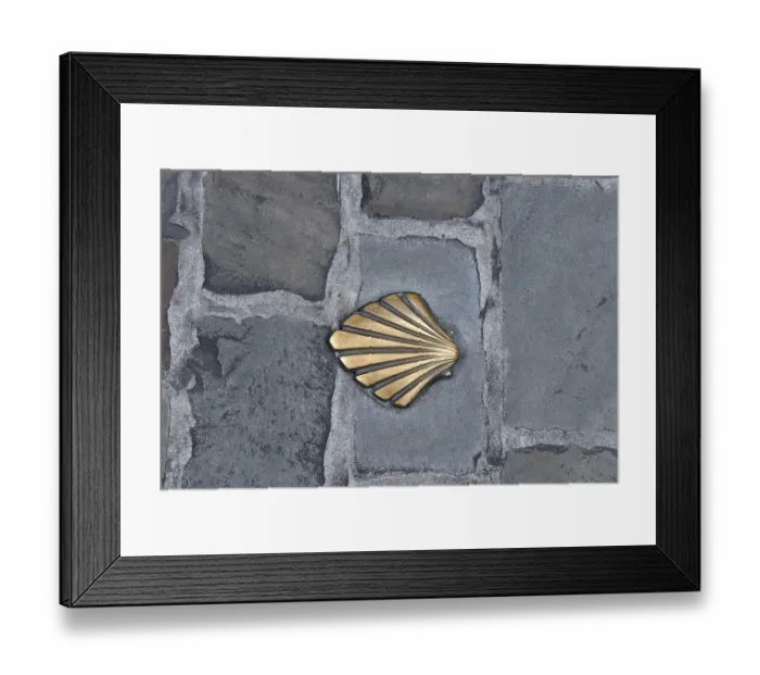 Framed Print : Scallop shell as a sign for the pilgrimage route /  Way of St