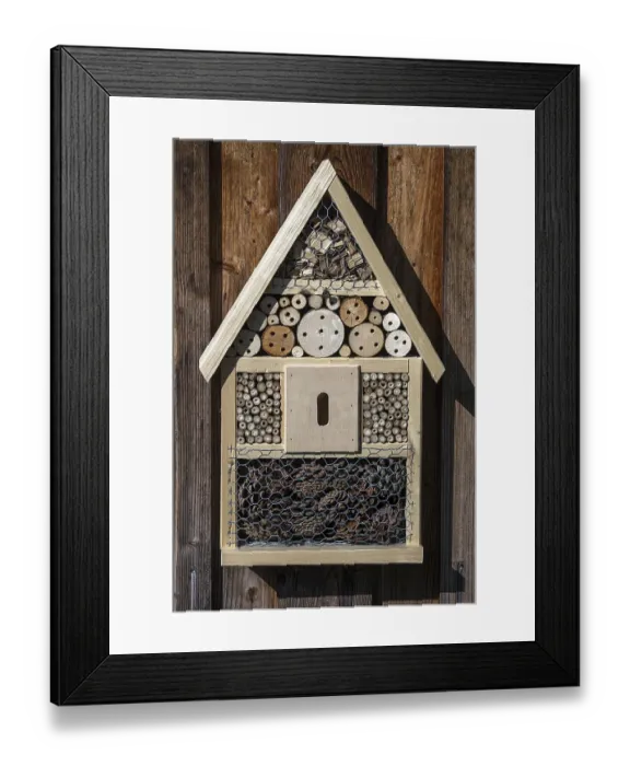 Framed Print : Insect hotel on a wooden wall, Bavaria