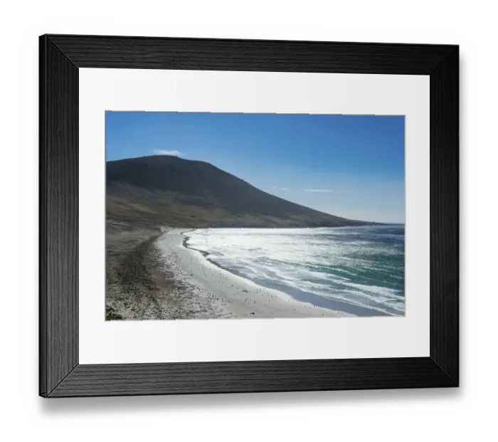 Framed Print : The Neck isthmus on Saunders island