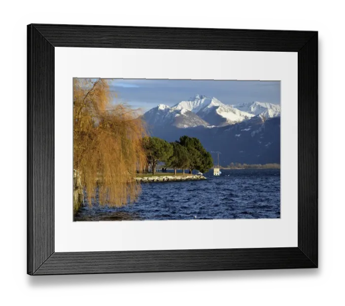 Framed Print : Snow-capped Mountain and an Alpine Lake Maggiore with Tree in Autumn in Locarno