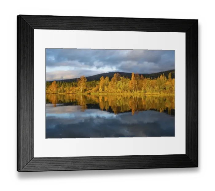 Framed Print : Autumn landscape, Mirroring, Kvikkjokk Delta Framed Print : Autumn landscape, Mirroring, Kvikkjokk Delta
