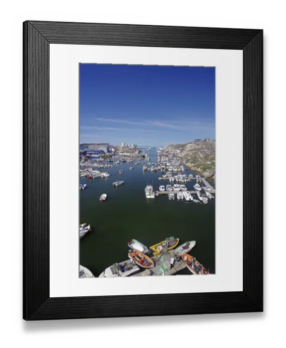 Framed Print : Leisure boats moored in the harbour