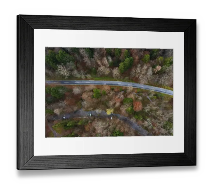 Framed Print : Drone shot, Wangauer Ache with federal road and autumnal mixed forest from above Framed Print : Drone shot, Wangauer Ache with federal road and autumnal mixed forest from above