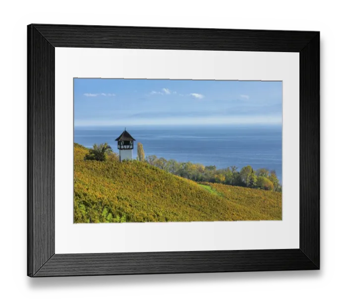 Framed Print : View over the vineyards near Meersburg to the Swiss Alps Framed Print : View over the vineyards near Meersburg to the Swiss Alps