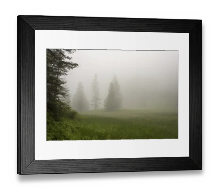 Framed Print : Huehnermoos on a cloudy day with fog