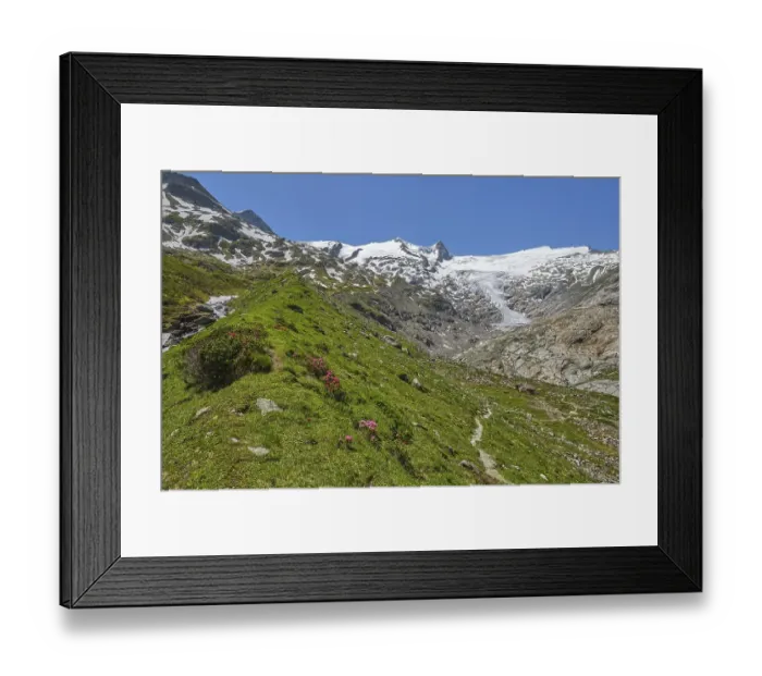 Framed Print : Hiking along the glacier trail in Innergschloess