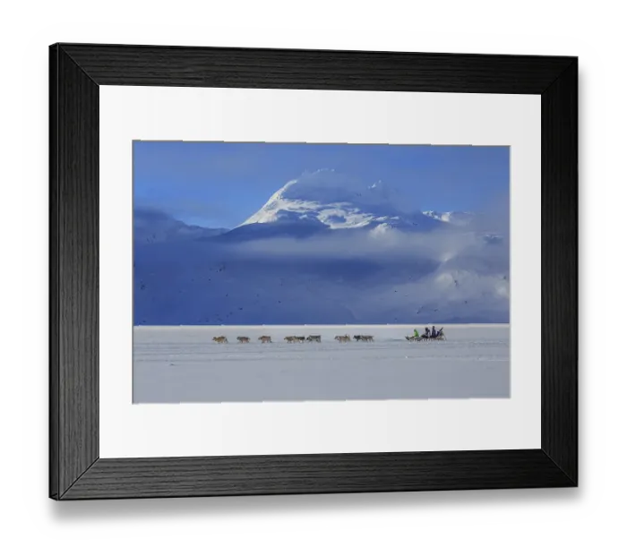 Framed Print : Tourists on dog sleds in front of snowy mountains