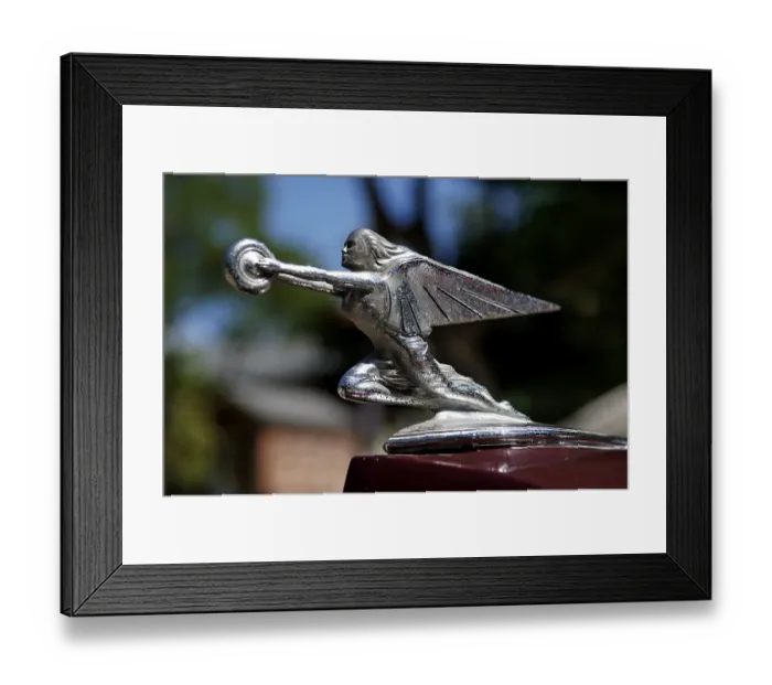 Framed Print : Hood ornament of a 1936 Packard at at Classic Car Show in Belvidere