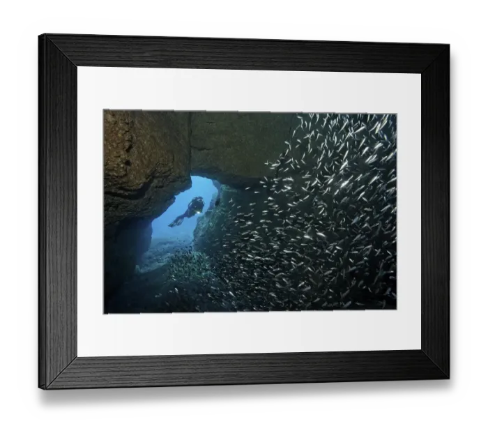 Framed Print : Scuba diver swimming through cave