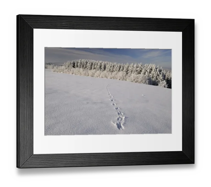 Framed Print : Winter in the Biosphaerengebiet Schwaebische Alb biosphere reserve Framed Print : Winter in the Biosphaerengebiet Schwaebische Alb biosphere reserve