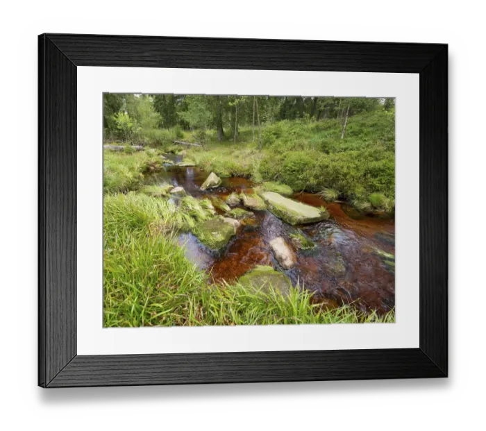 Framed Print : River Oder, Harz National Park, Germany, Europe Framed Print : River Oder, Harz National Park, Germany, Europe