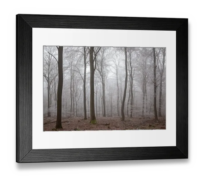 Framed Print : Winter forest, deciduous forest with fog and hoarfrost