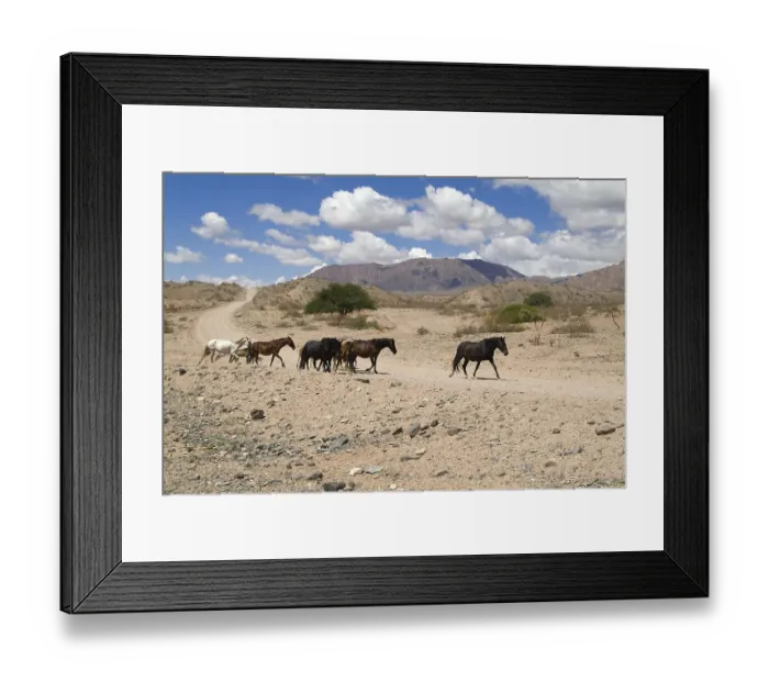 Framed Print : Horses along the Ruta 40, Calchaqui valley, Argentina, South America Framed Print : Horses along the Ruta 40, Calchaqui valley, Argentina, South America