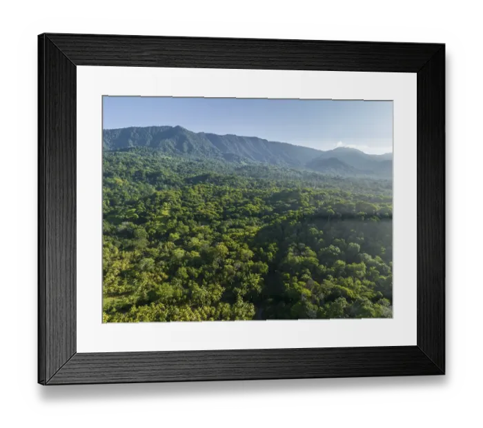 Framed Print : Aerial view, rainforest and mountains, Puntarenas province, Costa Rica, Central America