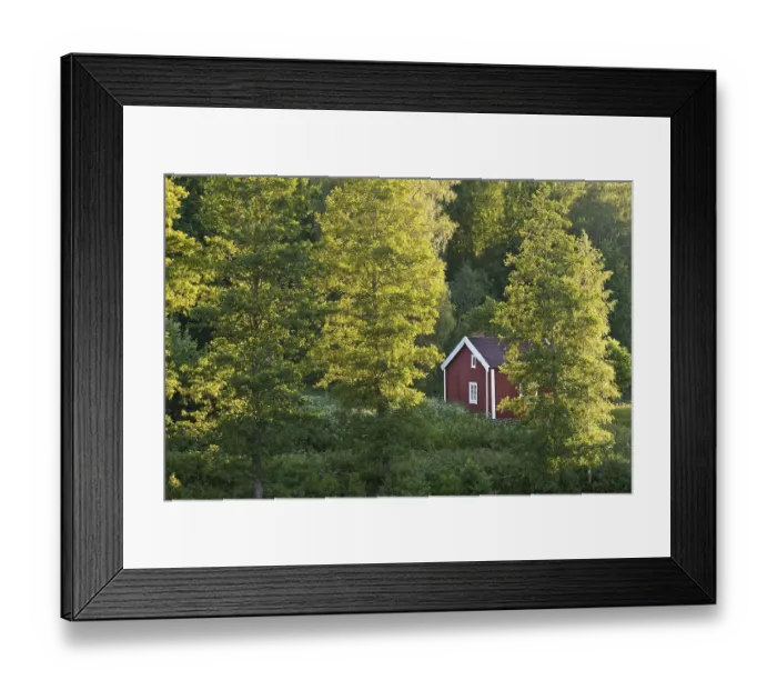Framed Print : Red and white house on a lake between birch trees Framed Print : Red and white house on a lake between birch trees