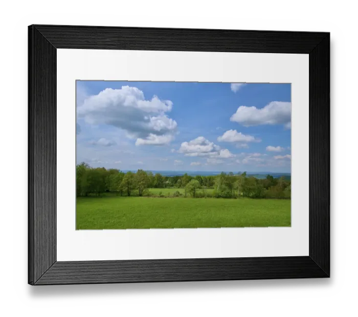 Framed Print : Forest landscape, trees, meadow