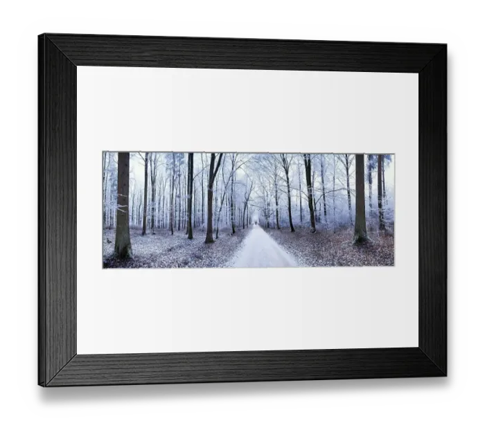 Framed Print : Panoramic view of a path leading through a forest covered in ice