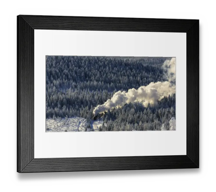 Framed Print : Brockenbahn travels through snowy Spruces (Picea) to the Brocken