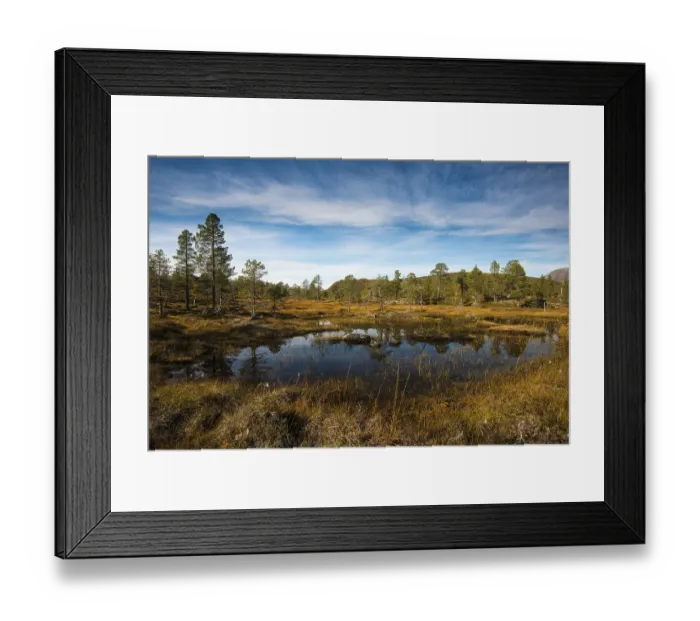 Framed Print : Lake in Anderdalen National Park