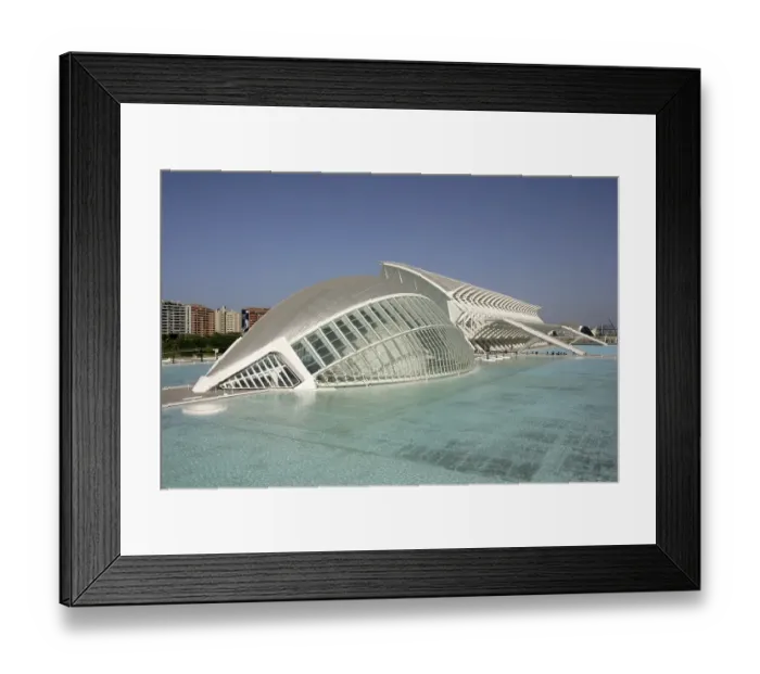 Framed Print : ESP, Spain, Valencia : Ciudad de las Artes Y de las Ciencias Framed Print : ESP, Spain, Valencia : Ciudad de las Artes Y de las Ciencias