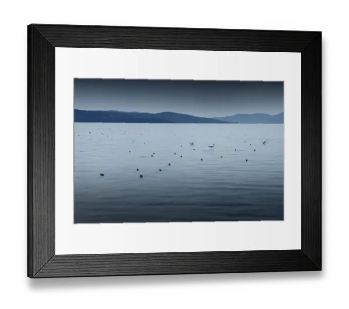 Framed Print : Lake Trasimeno or Lago Trasimeno with seagulls Framed Print : Lake Trasimeno or Lago Trasimeno with seagulls