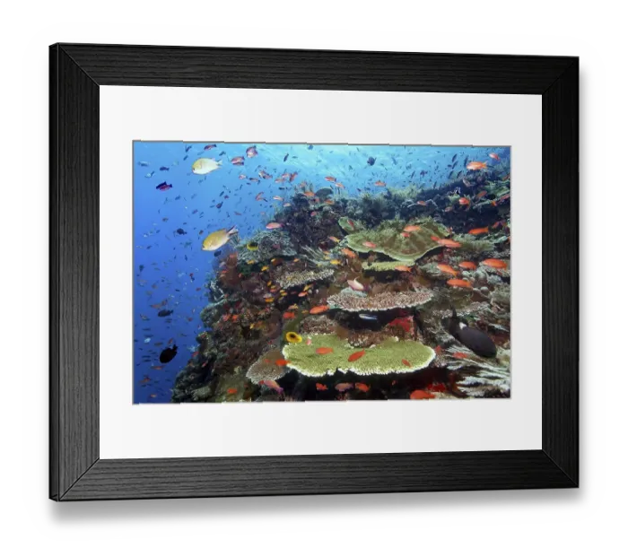 Framed Print : Sloping reef top, strong current