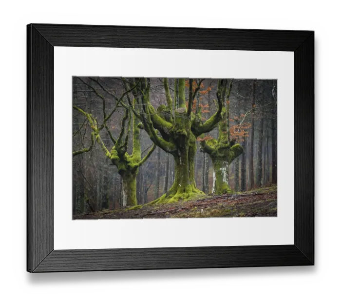 Framed Print : Gorbea Natural Park, Parque natural de Gorbea