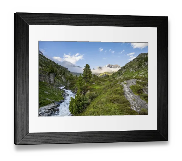Framed Print : Mountain landscape with alpine roses and mountain stream Zemmbach