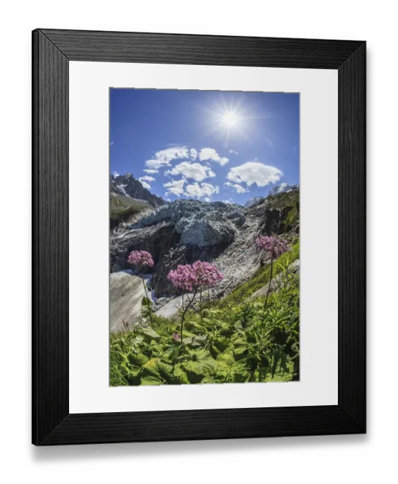 Framed Print : Mountain peak with glacier tongue and flowers in sunlight Framed Print : Mountain peak with glacier tongue and flowers in sunlight