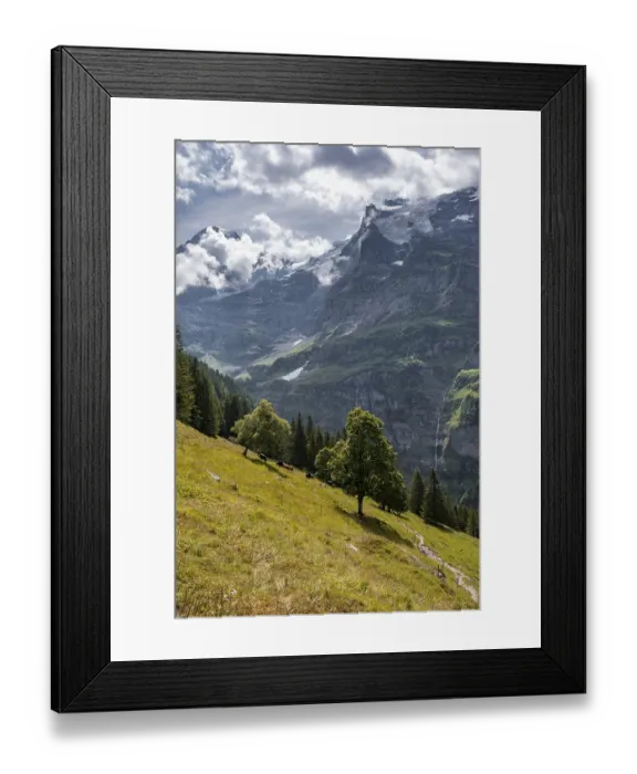 Framed Print : Tree standing on a slope, behind mountains and mountain tops