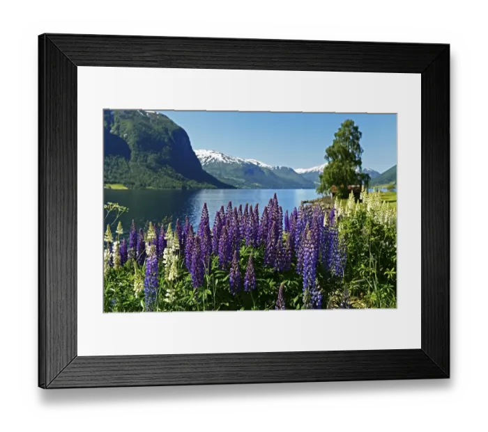 Framed Print : Lake and snow-capped mountains in the county of Sogn og Fjordane Framed Print : Lake and snow-capped mountains in the county of Sogn og Fjordane