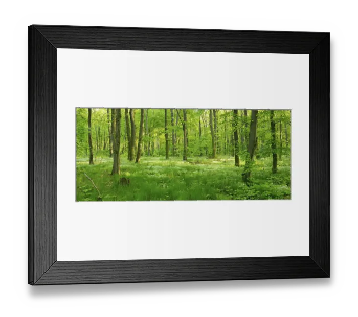 Framed Print : Naturnaher Laubmischwald, early flowering plants covering the ground, near Freyburg, Saxony-Anhalt, Germany, Europe