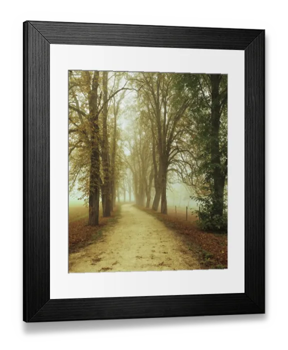 Framed Print : Tree-lined road in the royal park of Inzigkofen, Upper Danube Nature Park, Swabian Alps, Baden-Wuerttemberg, Germany, Europe