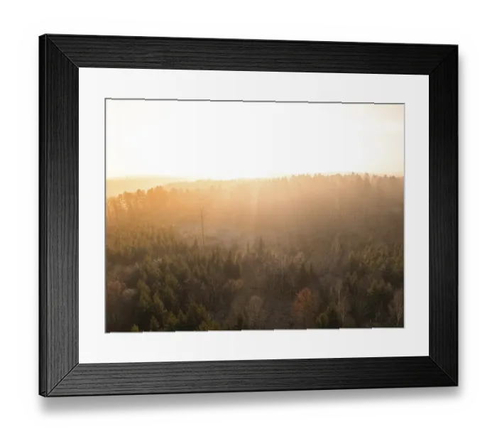 Framed Print : Morning light falls through the trees of an autumnal forest