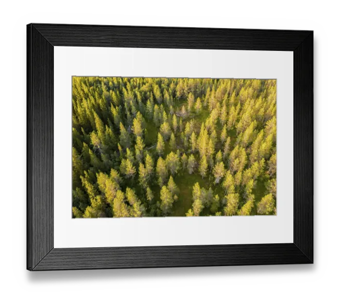 Framed Print : Aerial view, bird's eye view Framed Print : Aerial view, bird's eye view