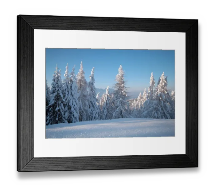 Framed Print : Trees covered in heavy snow, Berchtesgaden