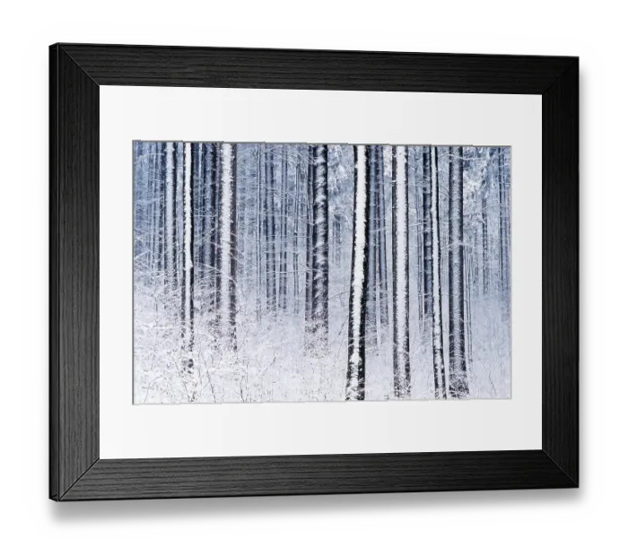 Framed Print : Wintry forest, Bayerischer Wald