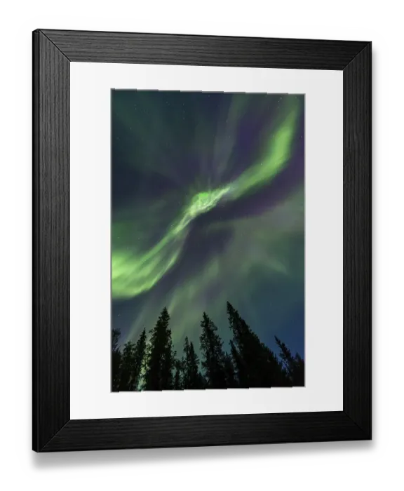 Framed Print : Northern Lights or Aurora Borealis above trees