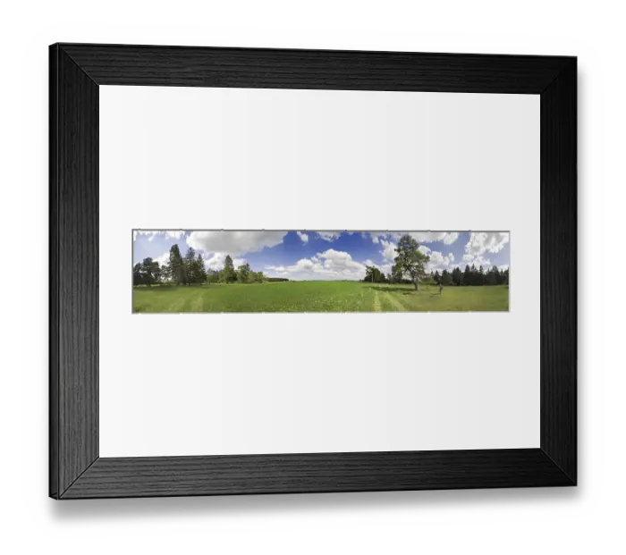 Framed Print : 360° panorama, old pine forest and sky with clouds Framed Print : 360° panorama, old pine forest and sky with clouds