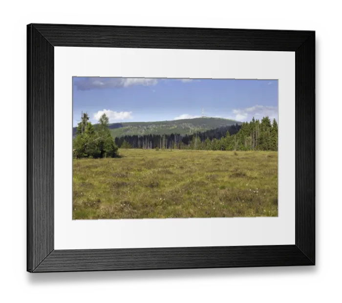 Framed Print : Raised bog at Grosses Torfhausmoor Framed Print : Raised bog at Grosses Torfhausmoor