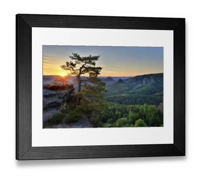 Framed Print : Sunrise at Kleiner Winterberg, pine on sandstone rocks