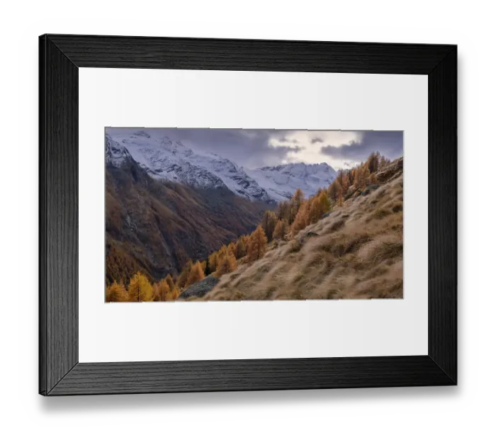 Framed Print : Spotlight on autumn-coloured mountain forest